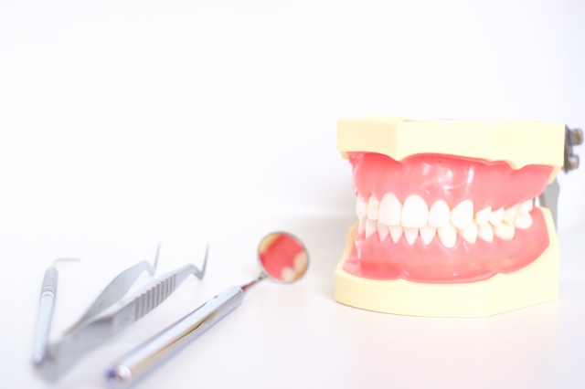 歯の定期検診と将来に残せる歯の数には深い関係があります